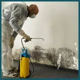 Coral Springs Restoration Expert Coral Springs, FL 954-355-0054 Coral Springs Restoration Expert Coral Springs, FL 954-355-0054 - mold-about